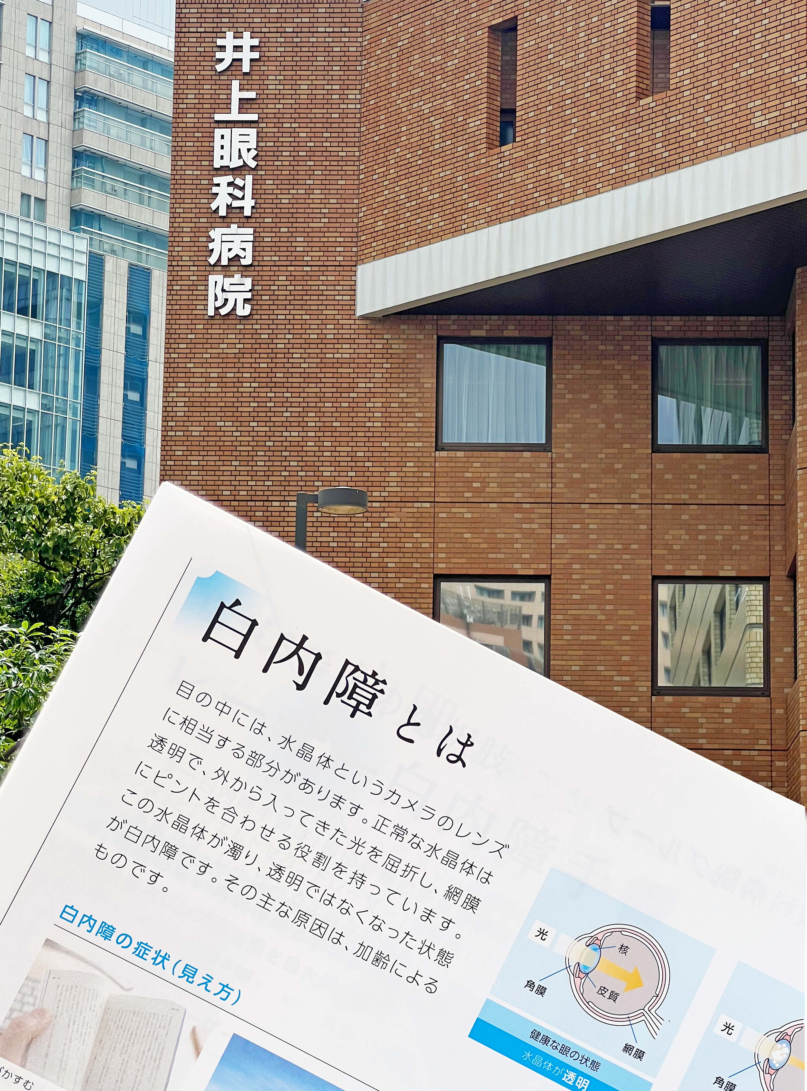 遠くも近くも見える→メガネをかける頻度は減る