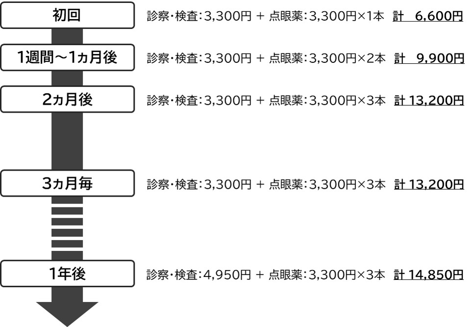 プログラムの流れと料金